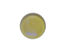 Strata FL20150 Laser Welding Focusing Lens
